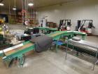 Used Durand-Wayland Fruit Sizing, Polishing and Bag Packaging Line