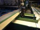 Used Durand-Wayland Fruit Sizing, Polishing and Bag Packaging Line