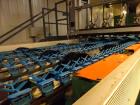 Used Durand-Wayland Fruit Sizing, Polishing and Bag Packaging Line