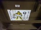 Used Durand-Wayland Fruit Sizing, Polishing and Bag Packaging Line