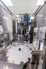 Used Complete WeighPack Systems Weighing, Dispensing, Filling, Capping, Labelin