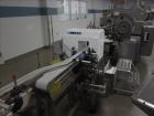 Used Lakso 990 (Model93) Complete Solid Dose Packaging line.