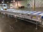 Used Approximately 20'L tortilla, make up conveyors with operator load shelves.