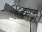Used Inclined Conveyor With Hopper