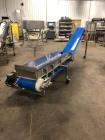 Used-Econo Chesse Corp 16 Inches Wide X 189 Inches Long Stainless Steel Sanitary