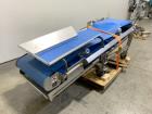 Smalley Manufacturing Portable Inclined Belt Conveyor