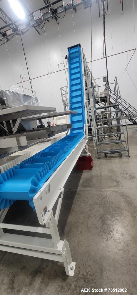 Used Food-Grade Triton Z-Style Incline & Scrap Conveyors – Stainless Steel, 2022