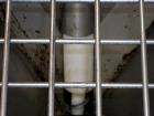 Used Hapman Model 300SS Helix Fleixible Screw Conveyor. Has 3