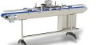 Endflex Table Top Single Lane Powered Indexing Conveyor