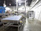 Used Priority One Depalletizer Model Xodus, low level discharge