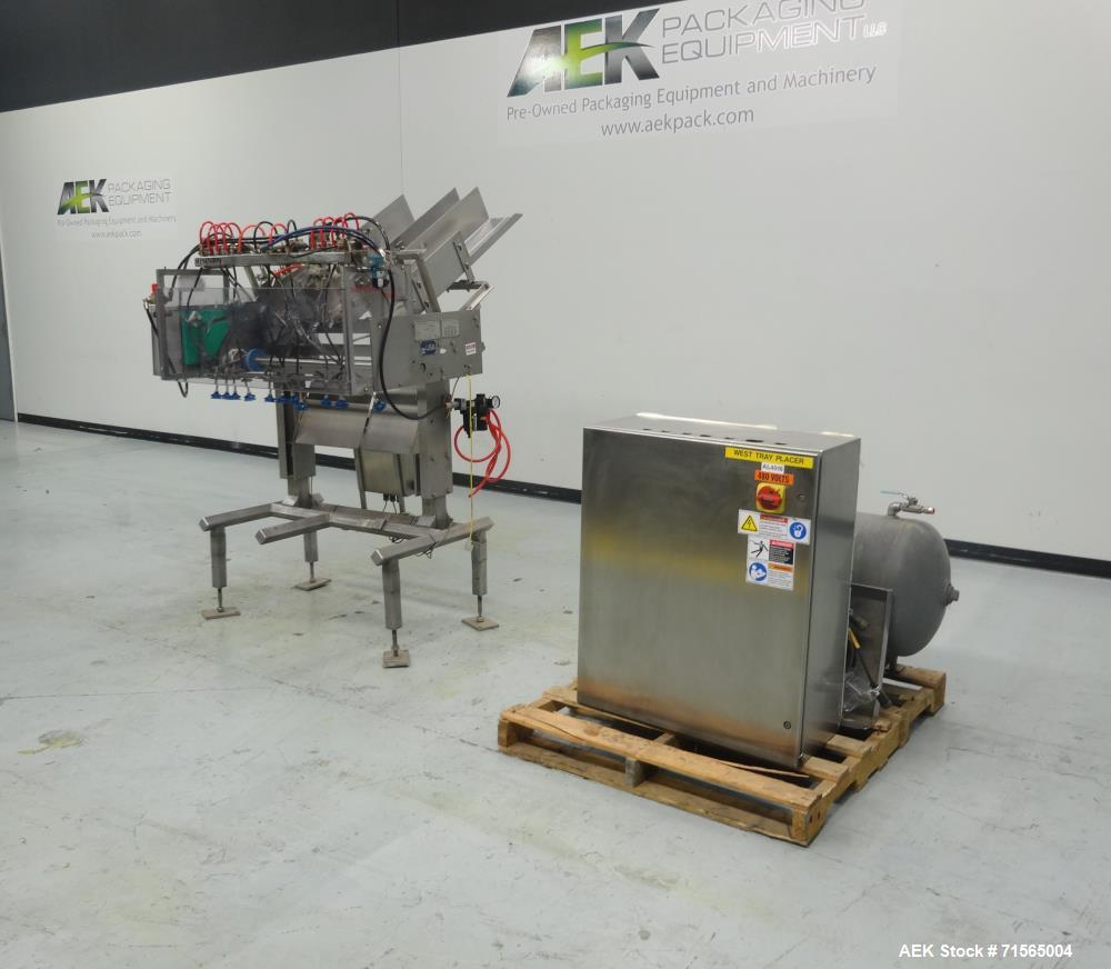 Used Barry-Wehmiller Reciprocating Placer 3-Head Tray Inserter