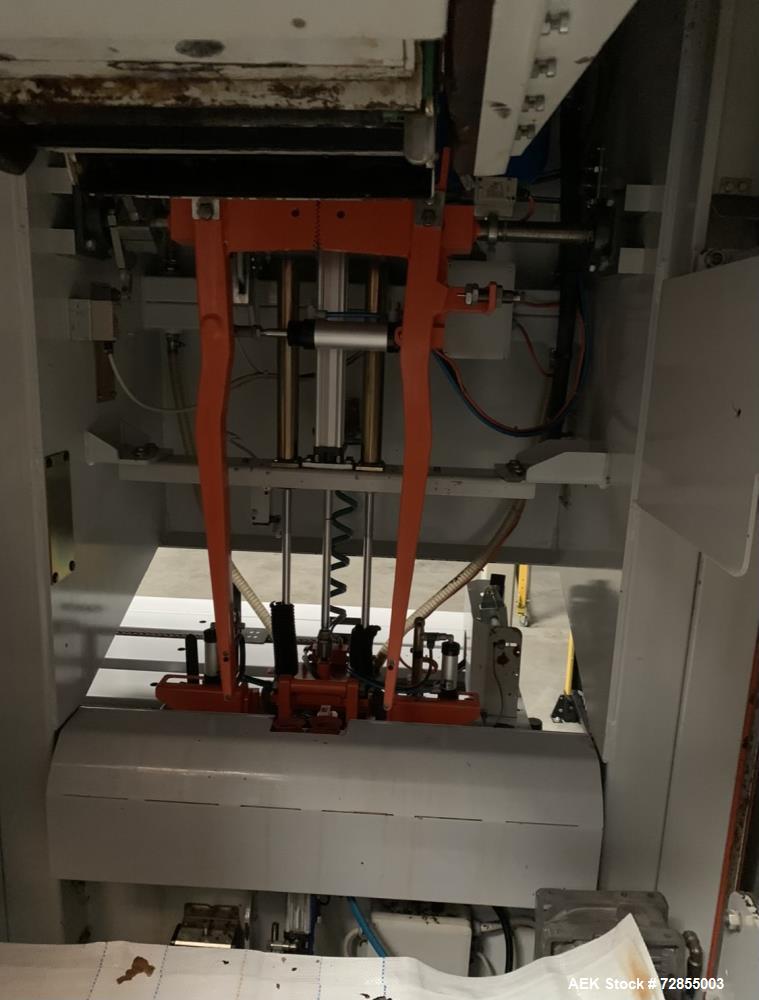 Used Paglierani Automatic Bag Filling Machine