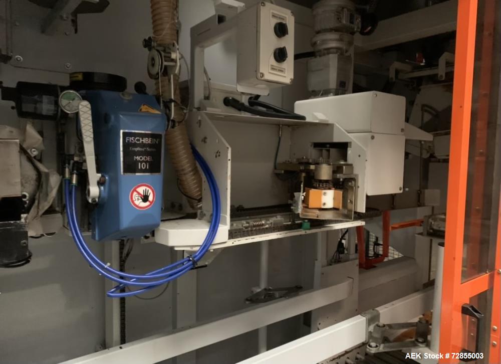 Used Paglierani Automatic Bag Filling Machine
