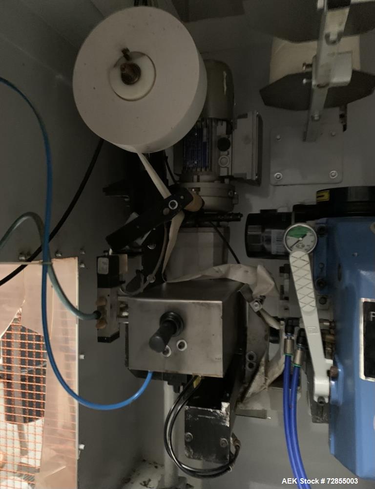 Used Paglierani Automatic Bag Filling Machine