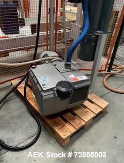Used Paglierani Automatic Bag Filling Machine
