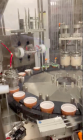 Used Modern Packaging Rotary Packaging System