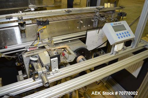 Used OMAS Filling Line with  Pump Inserting, Crimping and Labeling line