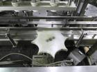 Used OMAS Filling Line with  Pump Inserting, Crimping and Labeling line