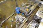 Used- OMAS Filling Line with  Pump Inserting, Crimping and Labeling line