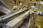 Used OMAS Filling Line with  Pump Inserting, Crimping and Labeling line