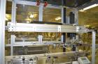 Used- OMAS Filling Line with  Pump Inserting, Crimping and Labeling line