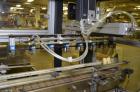 Used OMAS Filling Line with  Pump Inserting, Crimping and Labeling line