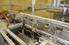 Used OMAS Filling Line with  Pump Inserting, Crimping and Labeling line