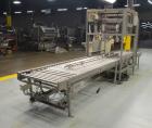 Used Pattyn Model AVL-4-S Automatic Semi-Liquid Bag-In-Box Weigh Filler