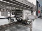 Used Pattyn Model AVL-4-S Automatic Semi-Liquid Bag-In-Box Weigh Filler