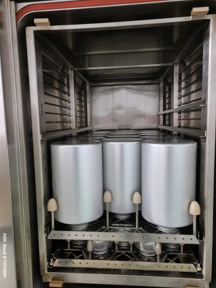 De Lema DLST/L Depyrogenation System with Powder Filling Isolator – Unused, Installed 2016