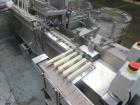 Used Bosch (Strunck) Complete Vial/Ampoule Injectable Filling Line