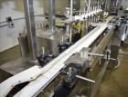 Used Cozzoli Pharmaceutical Filler Ampoule Vial Monoblock Syringe Filling Syste