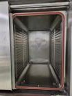 De Lema DLST/L Depyrogenation System with Powder Filling Isolator – Unused, Installed 2016