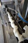 Used IMA Model F340 18 Head Rotary Piston Filler