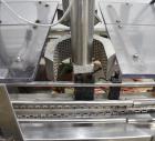 All-Fill Dual Head Twin Auger Automatic Inline Filler, Model AF212