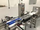 Used All Fill Model TAA-600 Dual Lane Servo Driven Auger Filling Line.