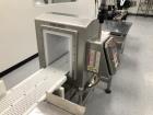 Used All Fill Model TAA-600 Dual Lane Servo Driven Auger Filling Line.