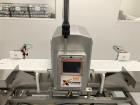 Used All Fill Model TAA-600 Dual Lane Servo Driven Auger Filling Line.
