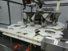Used Triangle Packaging Model RFC48/10 Rotary Container Indexer for Filling
