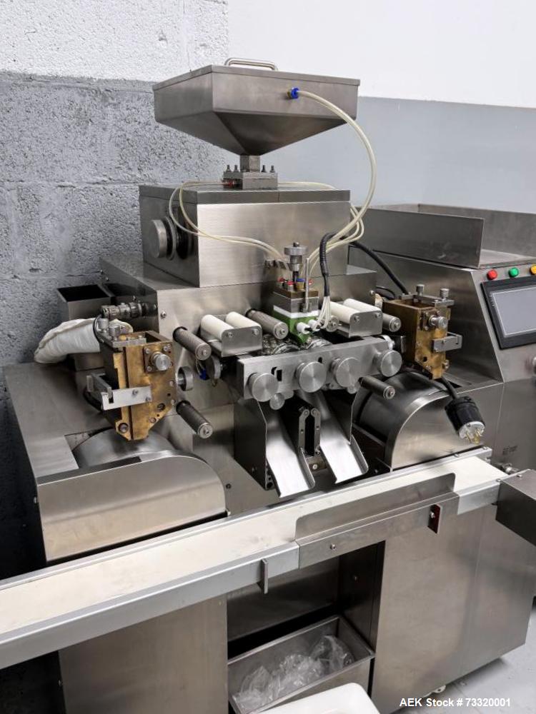 Automatic Capsule Filler with Tumble Dryer & Gelatin Melting Tank – HTSYS-5