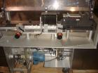 Used- Aylward Model DL530 Dual Lane Tablet/Capsule Bottle Filler