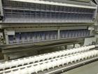 Used Lakso (IMA) Model 990 Dual Lane Slat Counter