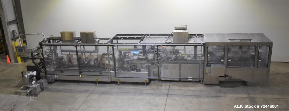 Cloud / Roberts Continuous Motion HFFS Stand-Up Pouch Machine