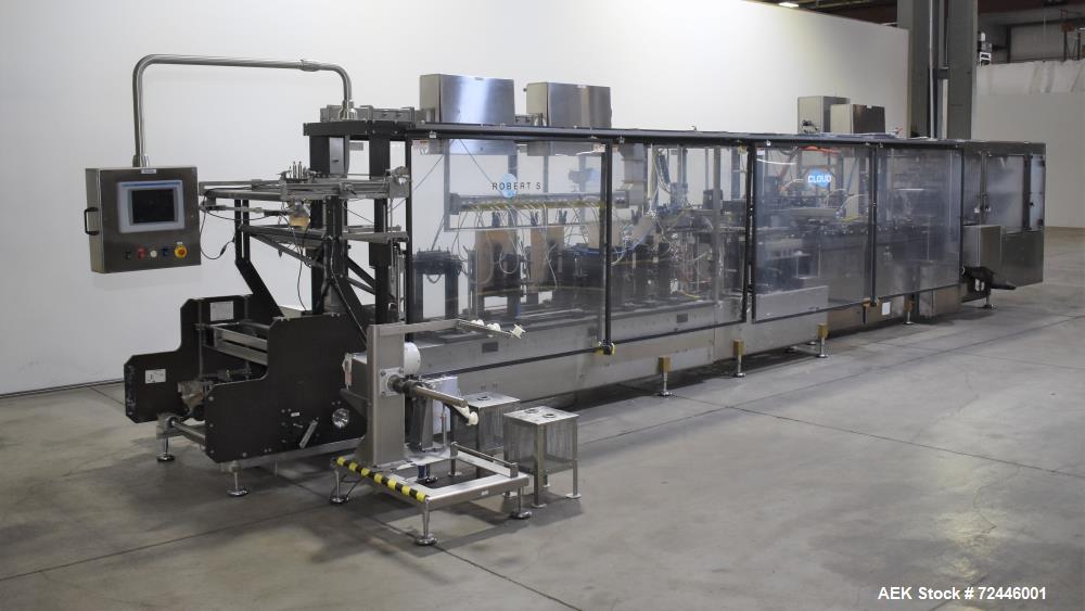 Cloud / Roberts Continuous Motion HFFS Stand-Up Pouch Machine