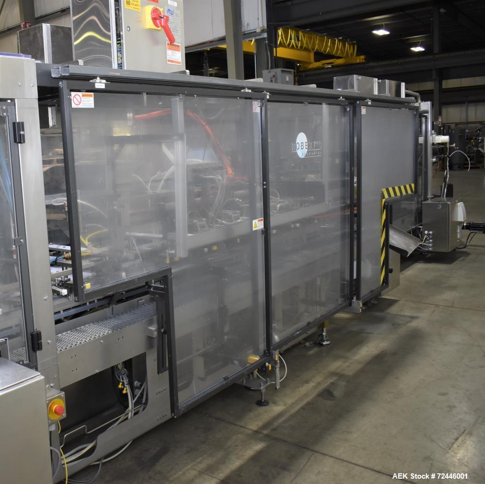 Cloud / Roberts Continuous Motion HFFS Stand-Up Pouch Machine