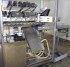 Bossar Liquid Pouch Horizontal Form Fill Seal Machine