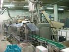 Used Bossar Horizontal Pouch Packing Machine, Model BL 3000. Duplex machine with full stainless steel body suitable for high pressure external washdown. 55 strokes per minute, can handle bag widths o...