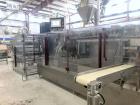 FL Tecnics Horizontal Form Fill Seal Machine,