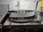 Used Jones Pouch King Large Center Horizontal Form FIll  Seal Machine