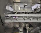 Mespack Model H-260-FE Horizontal Form Fill Seal for Stand Up Pouches
